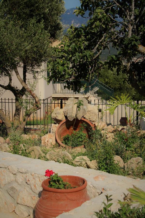 ארגוסטולי Nikoleta'S Studios מראה חיצוני תמונה